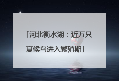 河北衡水湖：近万只夏候鸟进入繁殖期
