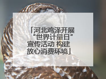 河北鸡泽开展“世界计量日”宣传活动 构建放心消费环境