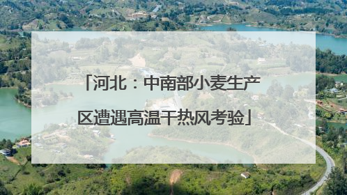 河北：中南部小麦生产区遭遇高温干热风考验