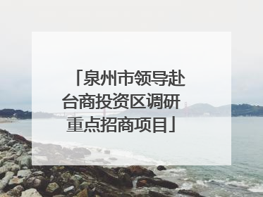 泉州市领导赴台商投资区调研重点招商项目