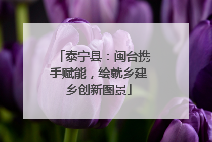 泰宁县：闽台携手赋能，绘就乡建乡创新图景