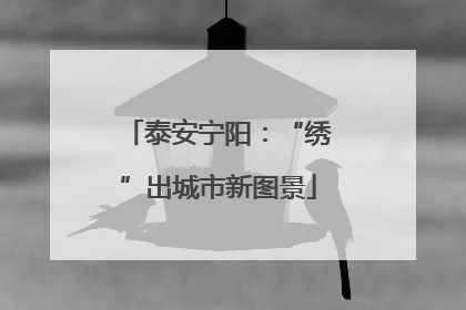 泰安宁阳：“绣”出城市新图景