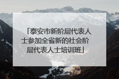 泰安市新阶层代表人士参加全省新的社会阶层代表人士培训班