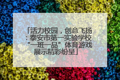 活力校园，创意飞扬：泰安市第一实验学校“一班一品”体育游戏展示精彩纷呈