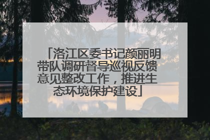 洛江区委书记颜丽明带队调研督导巡视反馈意见整改工作，推进生态环境保护建设
