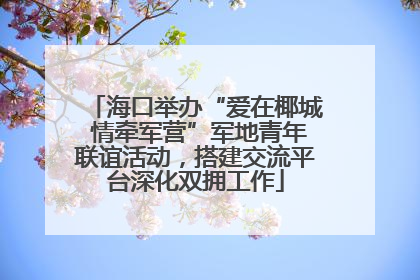 海口举办“爱在椰城 情牵军营”军地青年联谊活动，搭建交流平台深化双拥工作