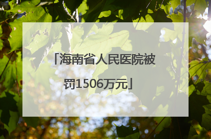 海南省人民医院被罚1506万元