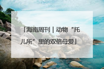 海南周刊｜动物“托儿所”里的双倍母爱