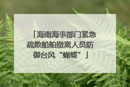海南海事部门紧急疏散船舶撤离人员防御台风“蝴蝶”