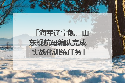 海军辽宁舰、山东舰航母编队完成实战化训练任务