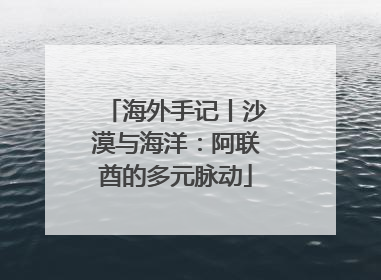 海外手记丨沙漠与海洋：阿联酋的多元脉动