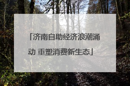 济南自助经济浪潮涌动 重塑消费新生态