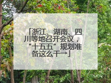 浙江、湖南、四川等地召开会议，“十五五”规划准备这么干→