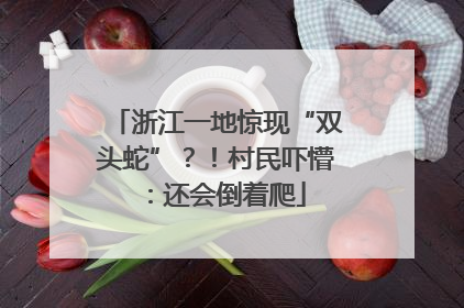 浙江一地惊现“双头蛇”？！村民吓懵：还会倒着爬