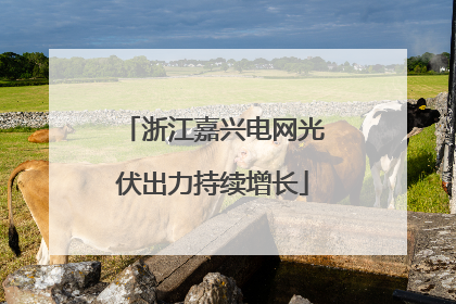 浙江嘉兴电网光伏出力持续增长