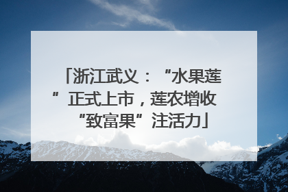 浙江武义：“水果莲”正式上市，莲农增收“致富果”注活力