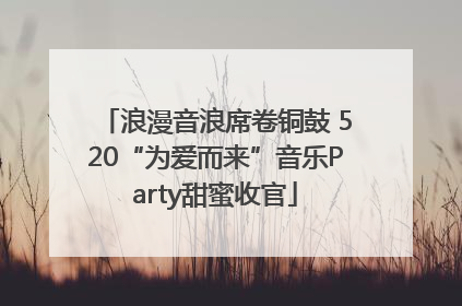 浪漫音浪席卷铜鼓 520“为爱而来”音乐Party甜蜜收官