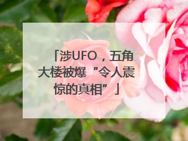 涉UFO，五角大楼被爆“令人震惊的真相”