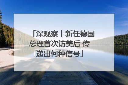 深观察丨新任德国总理首次访美后 传递出何种信号