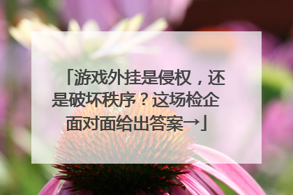 游戏外挂是侵权，还是破坏秩序？这场检企面对面给出答案→