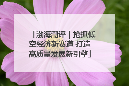 渤海潮评｜抢抓低空经济新赛道 打造高质量发展新引擎