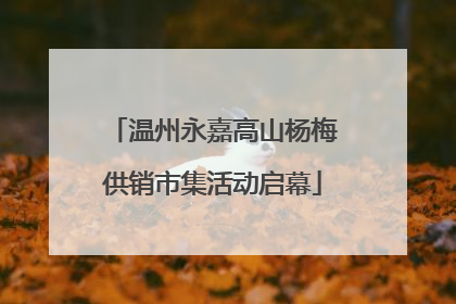 温州永嘉高山杨梅供销市集活动启幕