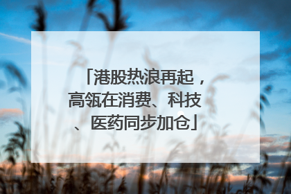 港股热浪再起，高瓴在消费、科技、医药同步加仓