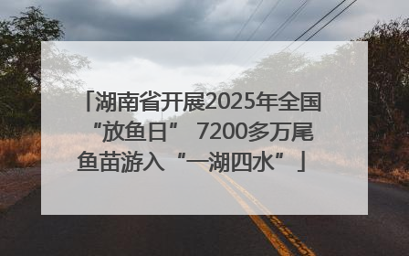 湖南省开展2025年全国“放鱼日” 7200多万尾鱼苗游入“一湖四水”