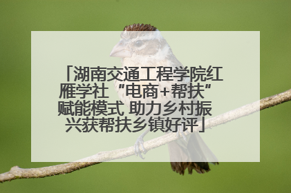 湖南交通工程学院红雁学社“电商+帮扶”赋能模式 助力乡村振兴获帮扶乡镇好评