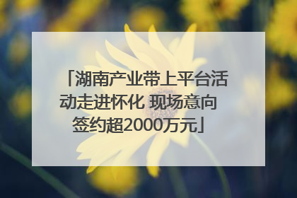 湖南产业带上平台活动走进怀化 现场意向签约超2000万元