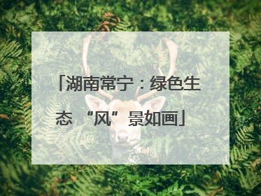 湖南常宁：绿色生态 “风”景如画