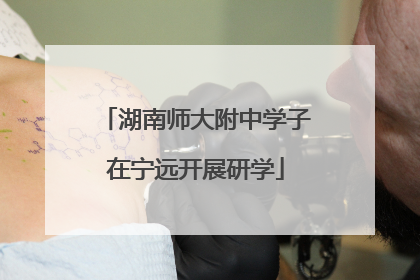 湖南师大附中学子在宁远开展研学