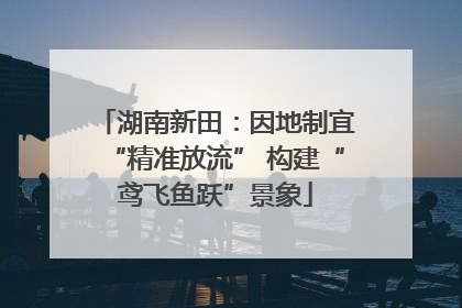湖南新田：因地制宜“精准放流” 构建“鸢飞鱼跃”景象