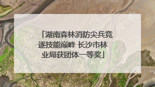 湖南森林消防尖兵竞逐技能巅峰 长沙市林业局获团体一等奖