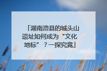湖南澧县的城头山遗址如何成为“文化地标”？一探究竟