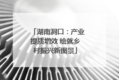 湖南洞口：产业提质增效 绘就乡村振兴新图景