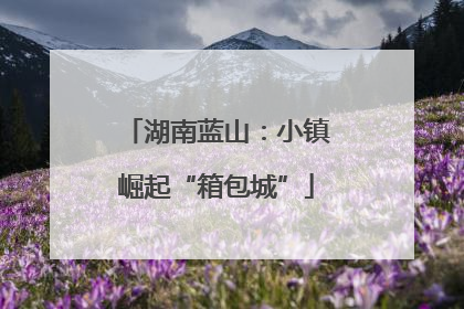 湖南蓝山：小镇崛起“箱包城”