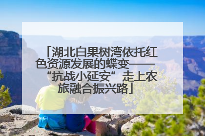 湖北白果树湾依托红色资源发展的蝶变——“抗战小延安”走上农旅融合振兴路