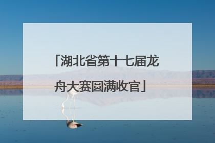 湖北省第十七届龙舟大赛圆满收官