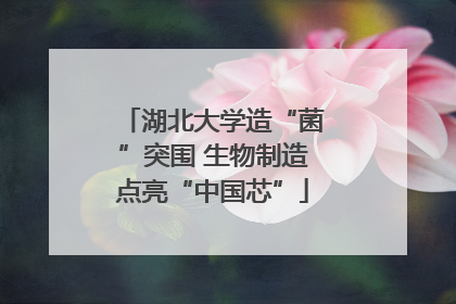 湖北大学造“菌”突围 生物制造点亮“中国芯”