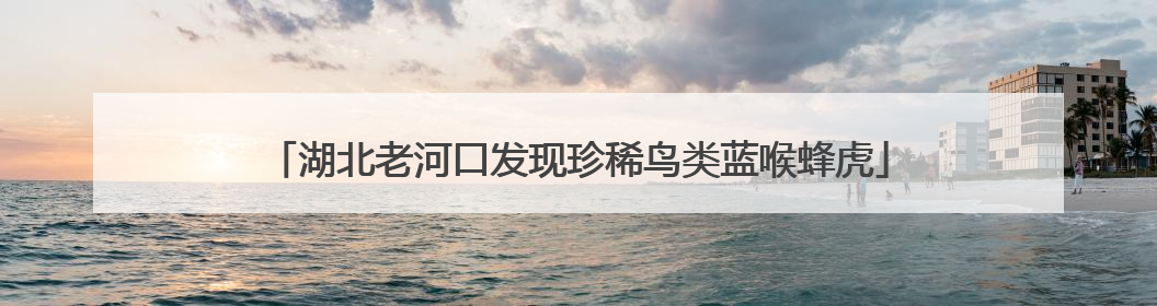 湖北老河口发现珍稀鸟类蓝喉蜂虎