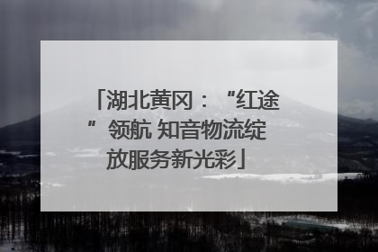 湖北黄冈：“红途”领航 知音物流绽放服务新光彩