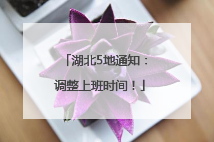 湖北5地通知：调整上班时间！