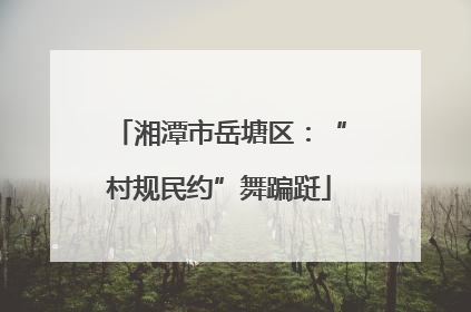 湘潭市岳塘区：“村规民约”舞蹁跹