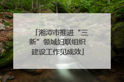 湘潭市推进“三新”领域妇联组织建设工作见成效