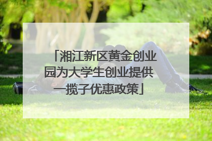 湘江新区黄金创业园为大学生创业提供一揽子优惠政策