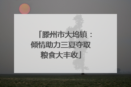 滕州市大坞镇：倾情助力三夏夺取粮食大丰收