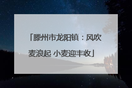 滕州市龙阳镇：风吹麦浪起 小麦迎丰收
