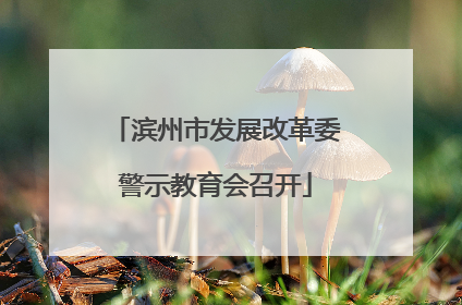 滨州市发展改革委警示教育会召开