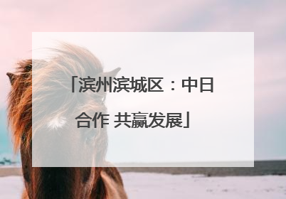 滨州滨城区：中日合作 共赢发展